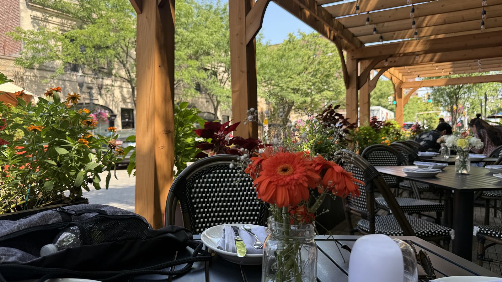 Outdoor dining under a pergola with flowers at a downtown Stamford restaurant patio