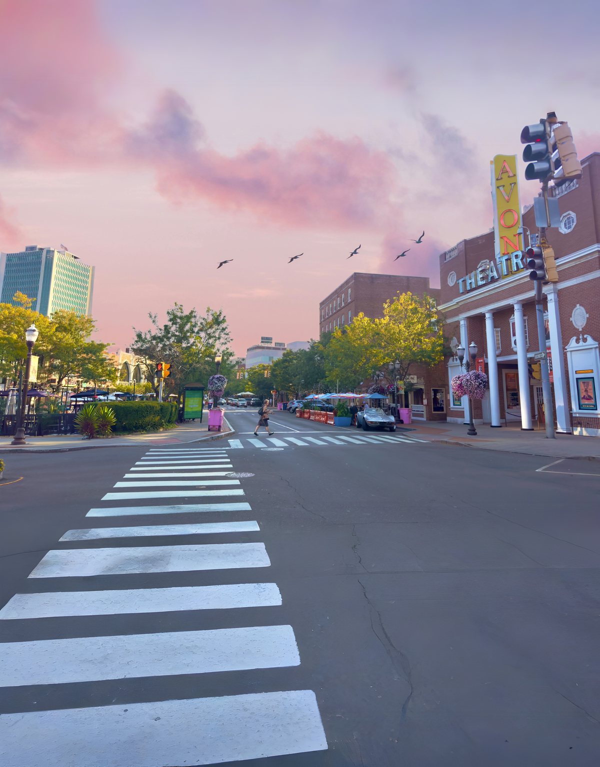 Avon Theatre on Bedford Street in downtown Stamford, Connecticut, beneath a pink sky, with birds and a crosswalk in the foreground