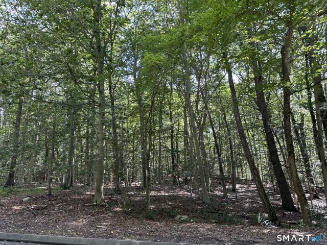 Lot #6 South Brook Drive, Stamford